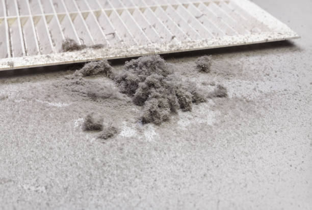 Air Duct Mold Removal in IA