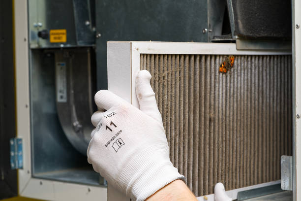 Best HVAC Maintenance and Cleaning  in Wayland, IA