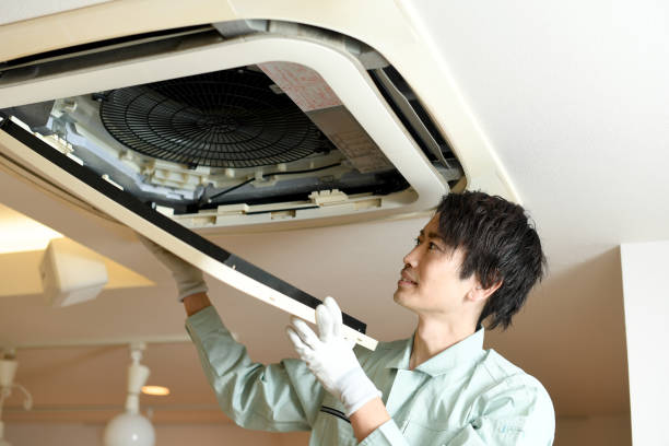 Best Air Vent Cleaning Services  in Wayland, IA