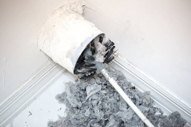 Best Air Duct Cleaning Near Me  in Wayland, IA