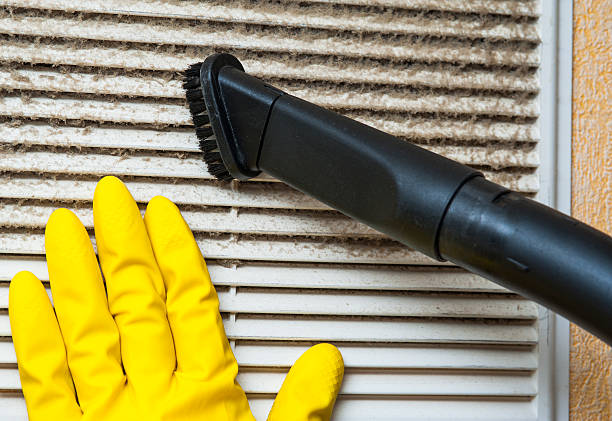 Best Affordable Duct Cleaning Services  in Wayland, IA